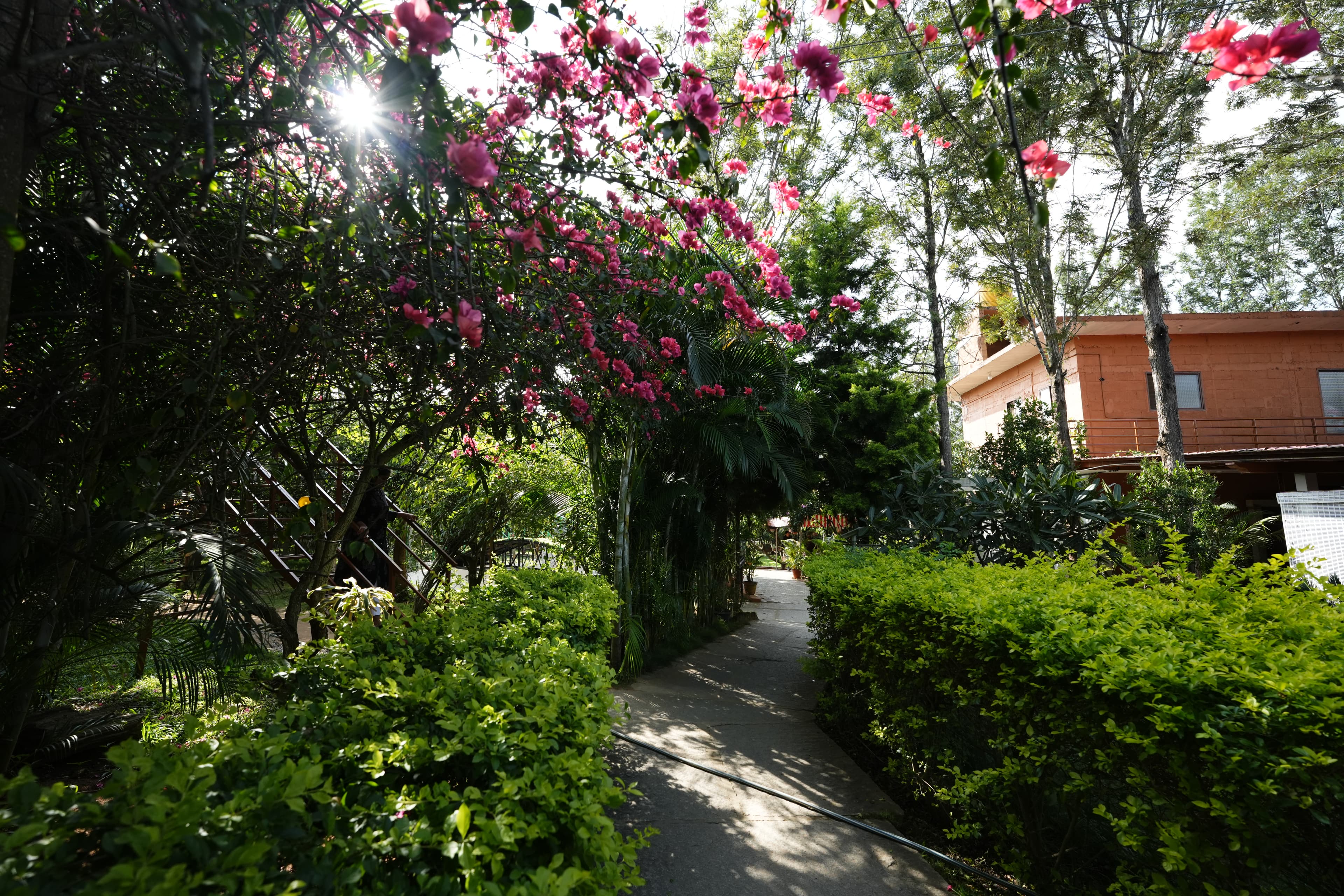 Suggee Resort background