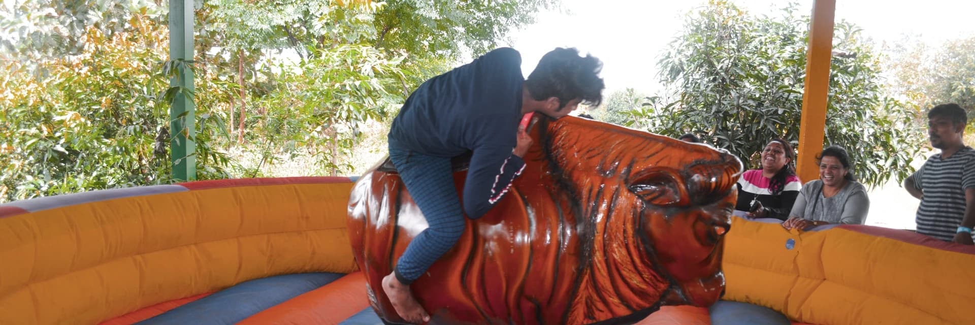 Bull Ride