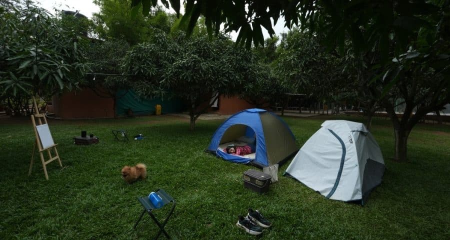 Misty Camping
