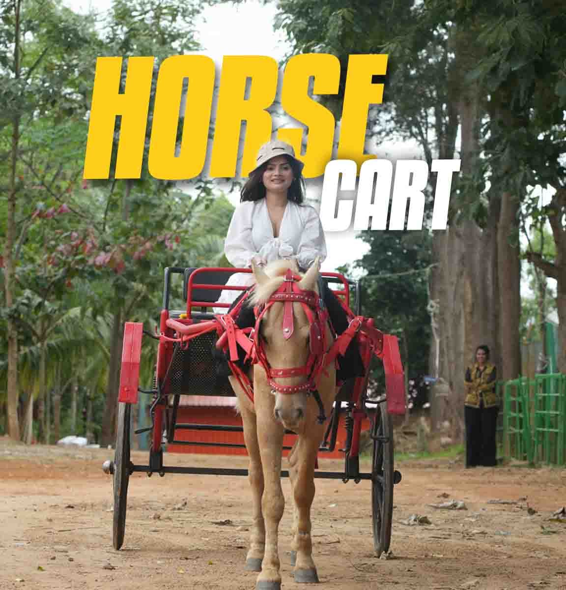 Horse Ride