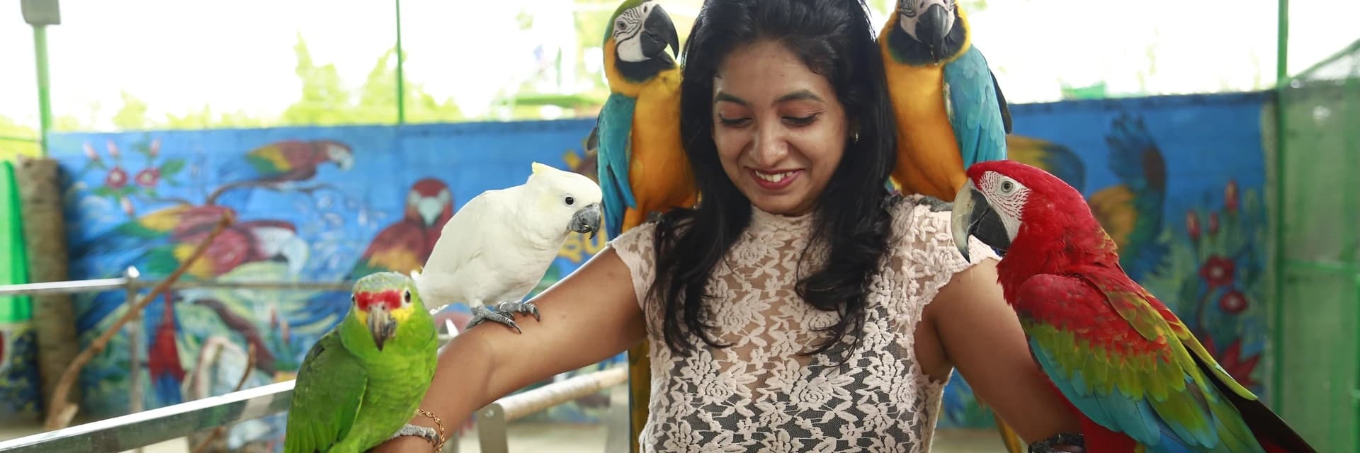Bird Aviary