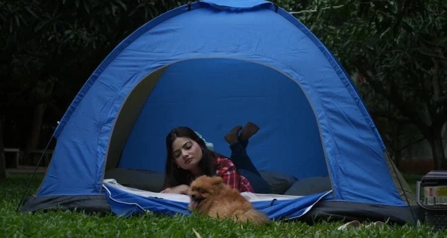 Misty Camping