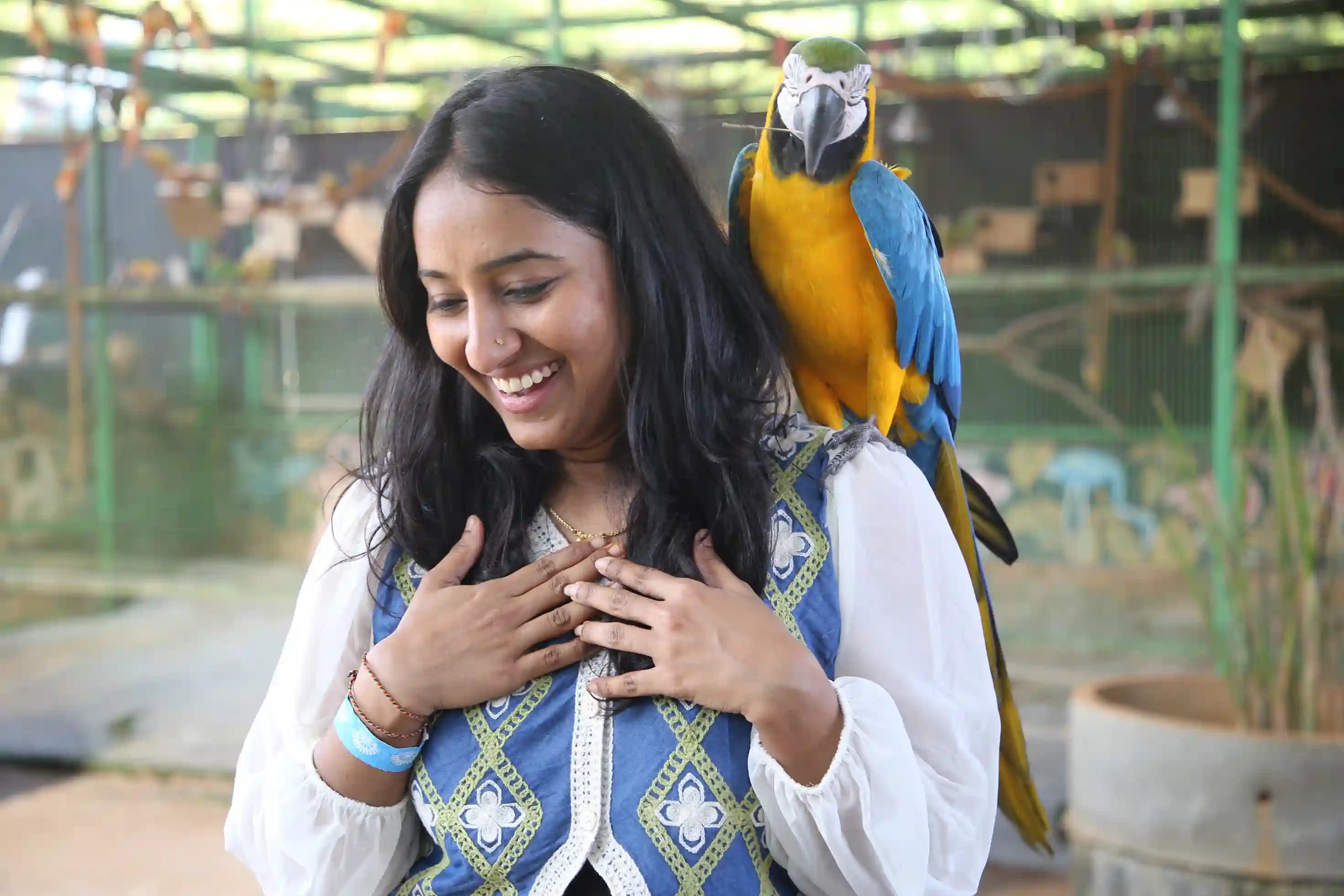 Bird Aviary